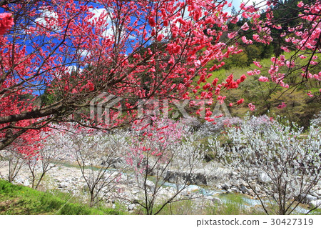 Tsukogawa Onsen Town Hanomo Festival 30427319