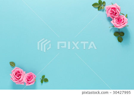 Roses and leaves top view Roses and leaves top view 30427995