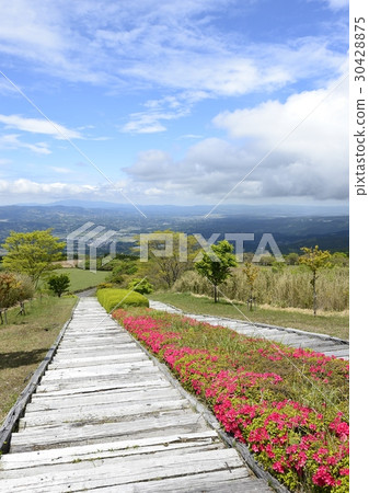 I saw the middle from downward, Japan's best railroad stairs 30428875