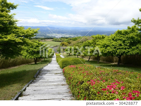 I saw the middle from downward, Japan's best railroad stairs 30428877