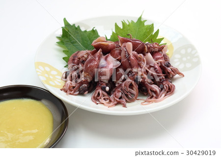 螢火蟲魷魚 螢火蟲魷魚 30429019