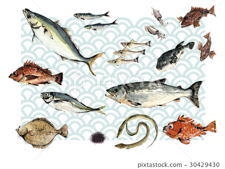 Various fish - Stock Illustration [30429430] - PIXTA