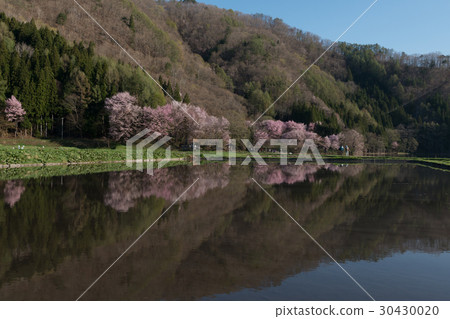 Yoh Yamazakura of Lake Nakanishi 30430020
