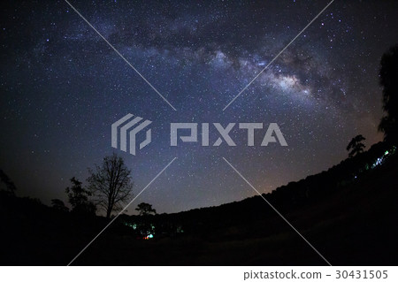 Milky Way and silhouette of tree  Milky Way and silhouette of tree  30431505