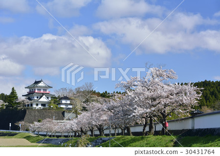 Wakuya Castle 2017（宮城縣Wakutan鎮） 30431764