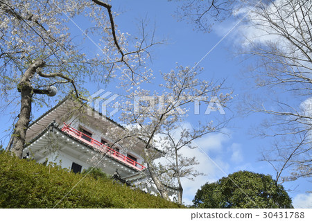 Wakuya Castle 2017（宮城縣Wakutan鎮） 30431788