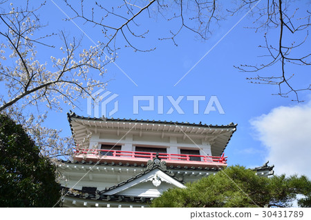 Wakuya Castle 2017(宮城縣Wakutan鎮) Wakuya Castle 2017(宮城縣Wakutan鎮) 30431789