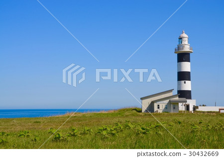 Tamarizaki燈塔 Tamarizaki燈塔 30432669