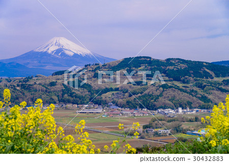 [Tanna, Kannami Town, Shizuoka Prefecture] Mt. Fuji seen from Izu 30432883