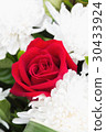 One red rose 30433924