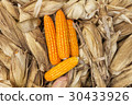 corn maize 30433926
