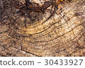 wooden swirls,tree rings 30433927