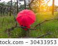 Woman with red umbrella in nature on background. 30433953