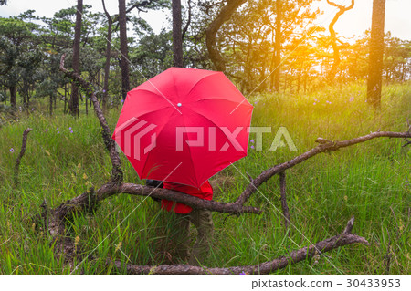 Woman with red umbrella in nature on background. Woman with red umbrella in nature on background. 30433953