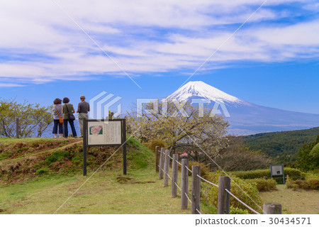 [Shizuoka Prefecture] Yamanaka Castle Ruins Park, people watching Mt. Fuji 30434571