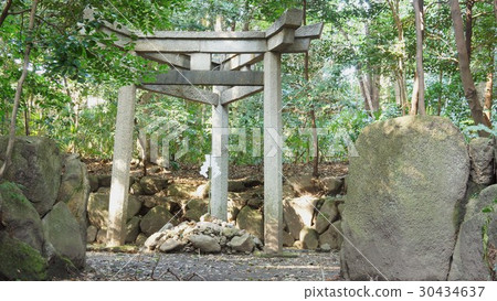 三柱torii konoshima jinjya 30434637