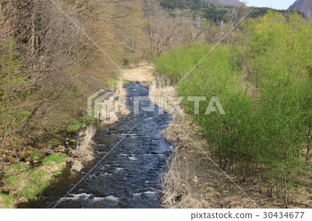 Fresh green and stream 30434677