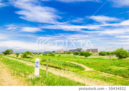 Fresh green Tamagawa riverbed 30434832