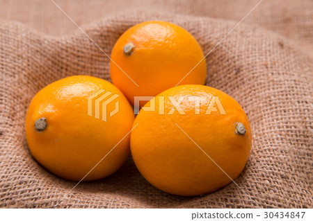 國內邁耶檸檬 30434847