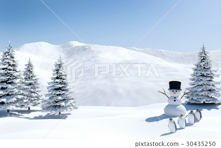 Arctic landscape, snow field with snowman Arctic landscape, snow field with snowman 30435250