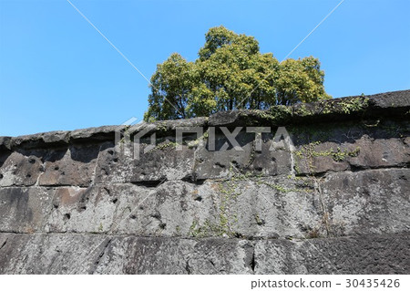 Kagoshima Castle 30435426