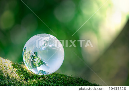 The globe in the forest The globe in the forest 30435828