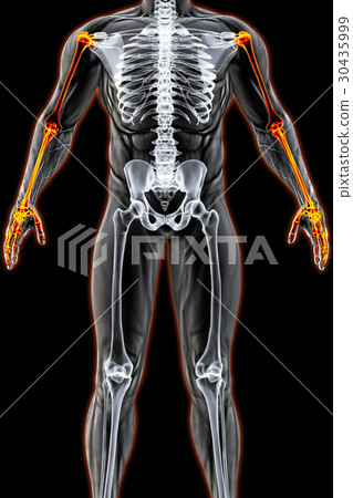 body body 30435999