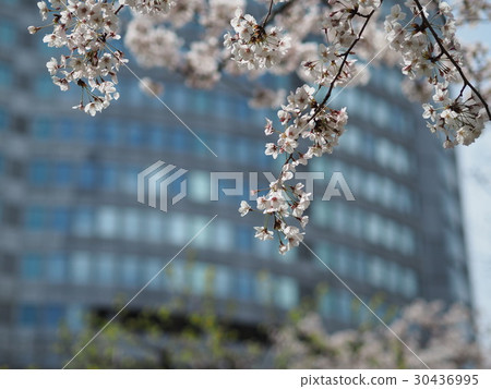 六本木Hills圖像 六本木Hills圖像 30436995