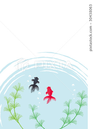 Goldfish background illustration 30438063