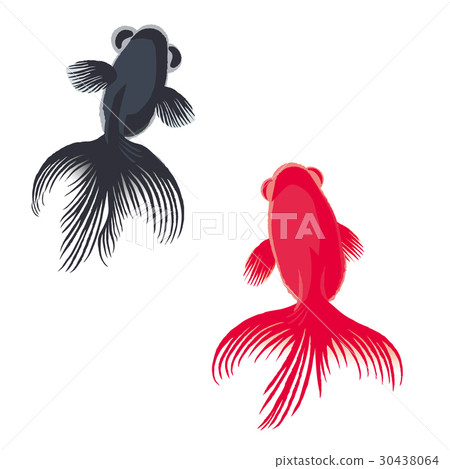 Goldfish background illustration 30438064
