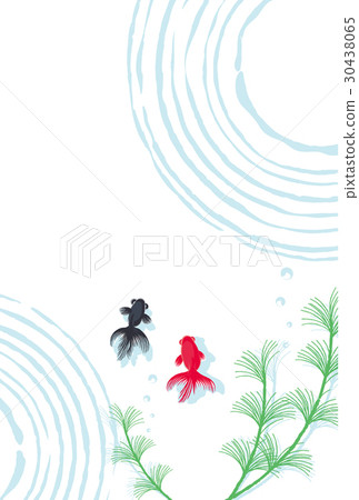 Goldfish background illustration 30438065
