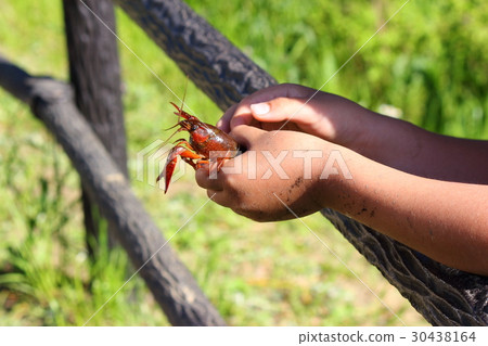 Crayfish fishing 30438164