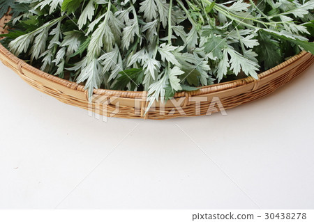 Wormwood 30438278