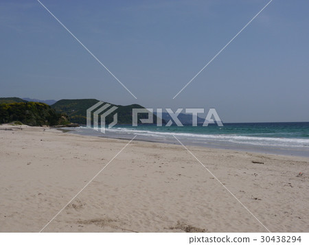 伊豆白濱 30438294