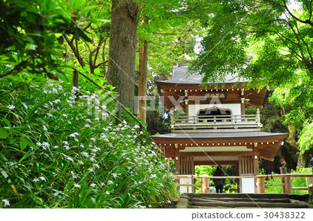Green covered North Kamakura Jodoji Tower 30438322