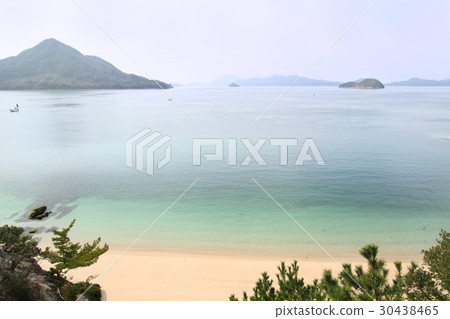 Usagi島 Usagi島 30438465