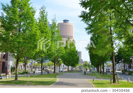 Fresh green Act road 30438486