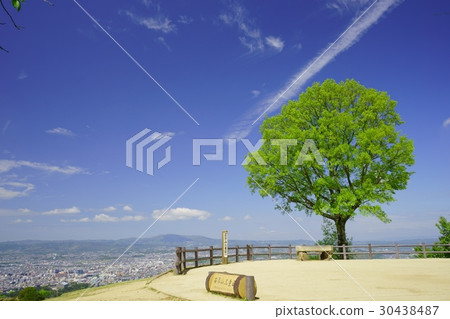 在Nara·May的Wakasakusan山峰1 在Nara·May的Wakasakusan山峰1 30438487