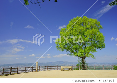在Nara·May的Wakasakusan山峰3 在Nara·May的Wakasakusan山峰3 30438491