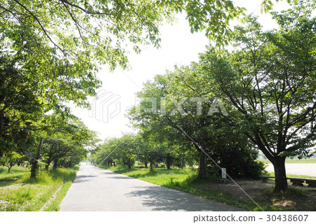 奈良 奈良 30438607