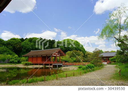 奈良東宮和春天4 30439530