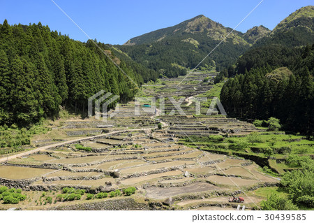 Yotsuya thousandsa (Aichi) 30439585