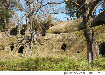 Kashiya Yokotani group Kashiya Yokotani group 30439755