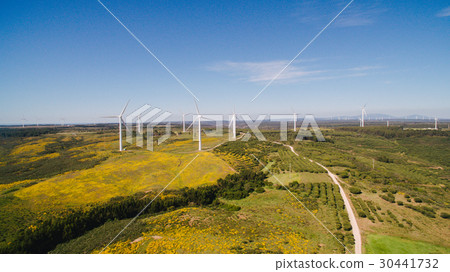 Aerial view of Wind Generating stations in green 30441732