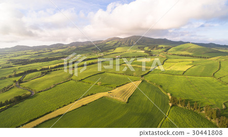 Aerial view of farm fields in the Sao Miguel Aerial view of farm fields in the Sao Miguel 30441808