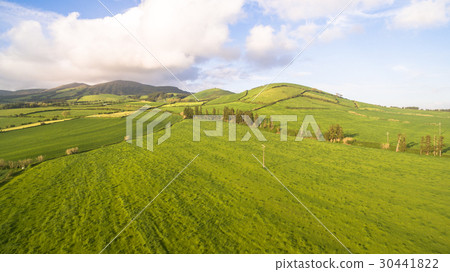 Aerial view of farm fields in the Sao Miguel Aerial view of farm fields in the Sao Miguel 30441822