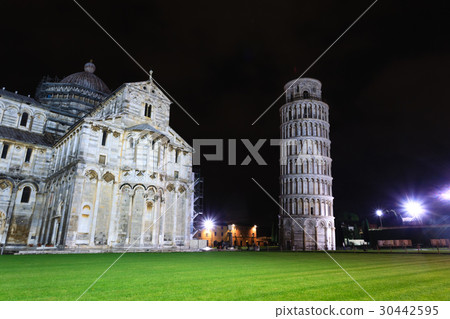 Piazza dei Miracoli with the Leaning Tower of Pisa 30442595
