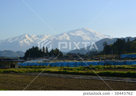 "Chokai Mountain" seen from Shonai 30443762