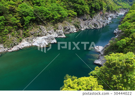 Koboke gorge of fresh green 30444022