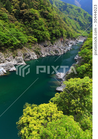 Koboke gorge of fresh green 30444023